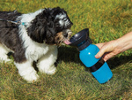 Botella de viaje cuenco para perro 0,5l