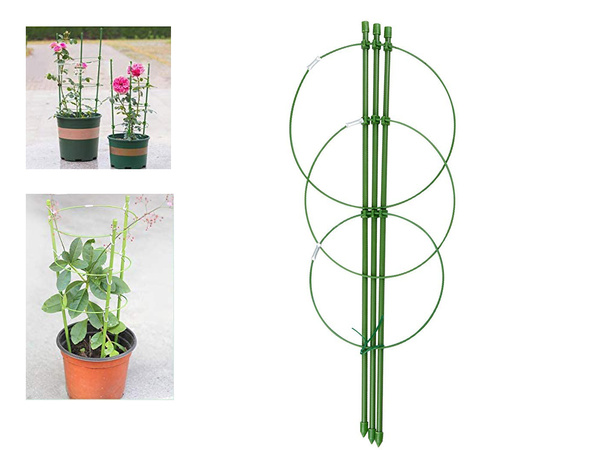 Flower ring plant support round stable ladder