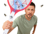 Electric fly catching palette fly catching packet mosquitoes moths acum.