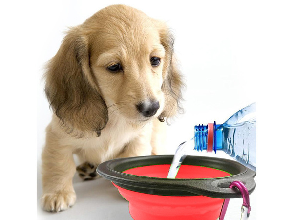 Silikon-faltschüssel für hund katze reisen reiseleicht 800ml