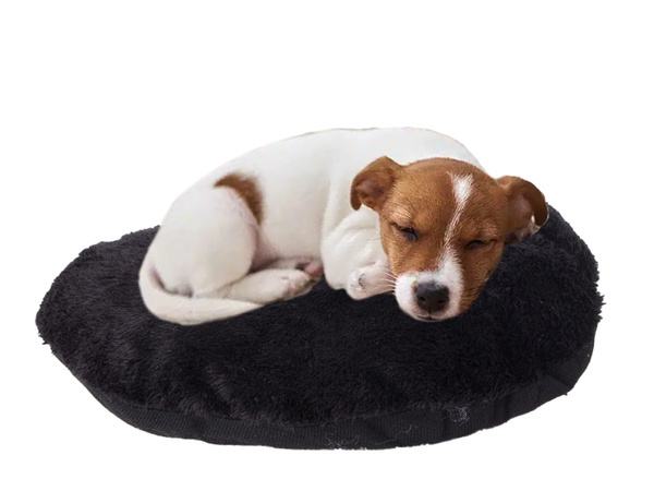 Lit pour chien kennel soft kennel tente bedding playpen couch