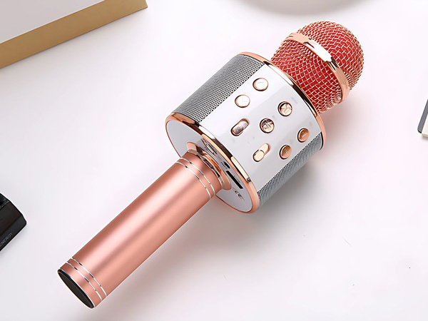 Microfon fără fir bluetooth karaoke difuzor rotund cu caz diferite moduri