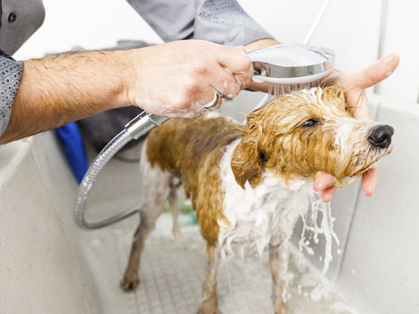 Pretslīdošs aizsargpaklājs atvilktnēm 140x100