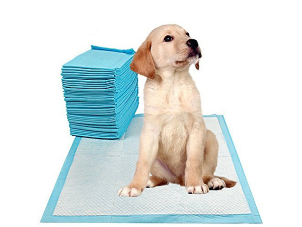 Alfombrillas para perros teaching to teach peek 60x60 40 tallas