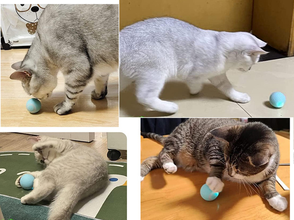 Jouet pour chat chien balle d'évasion balle électrique usb vibration led