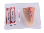 Herida Falsa Garganta Cortada Con 10 Ml De Sangre Falsa Accesorio De Halloween