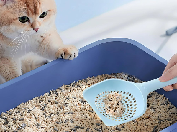 Zajemalka za mačji pesek velika zajemalka za pesek plastična robustna