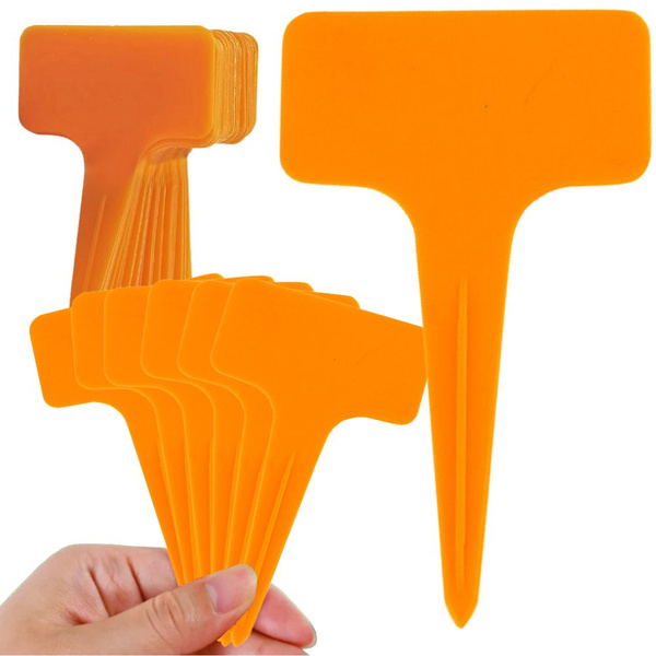 Etichete descriere plante caracteristici semințe 50pcs