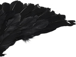 Plume ailes d'ange noir conte de fée costume cosplay déguisement halloween