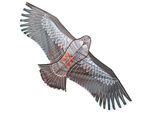 Cometa bird eagle 2m disuasor de aves con línea