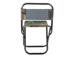 Folding fishing chair tourist backrest