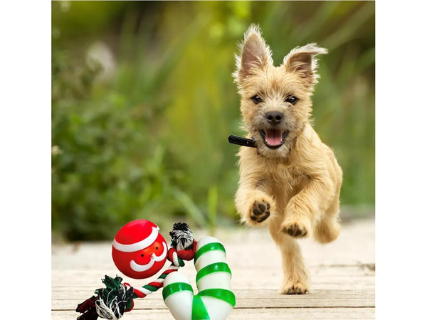 Set de juguetes para perros dog chew tugger 3 pcs mix toy holiday gift