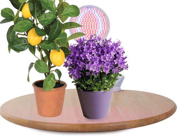 Panel 200 led lampa pre pestovanie rastlín 20w rast