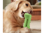 Dog chew teeth cleaning dental dog toy for treats