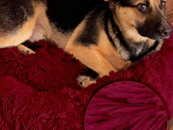 Lit pour chien pelucheux lit pour chat coussin doux lit pour canapé 80cm