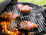 Holzkohle garten brikett grill räder runder deckel abschliessbar tragbar