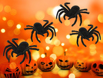 Halloween spinne 4 stück gross dekoration gruselig