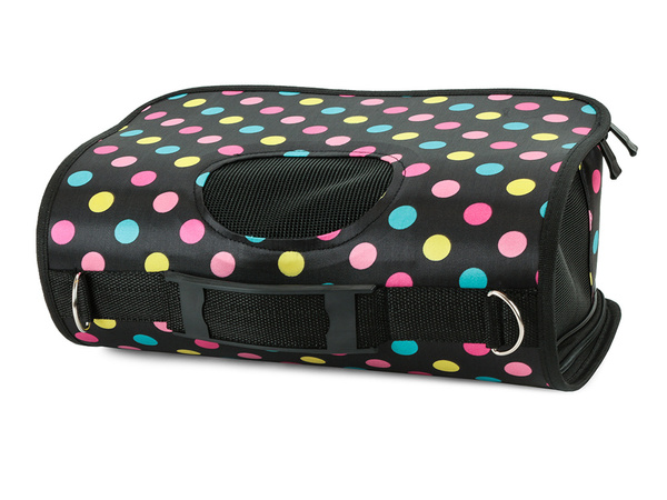 Transpordikott koerakandja kass suur