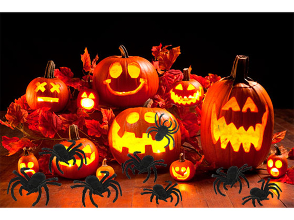 Halloween pavúk 4 ks veľké dekorácie strašidelné