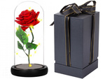 Everlasting rose in glass red led gift luminous for an occasion for women