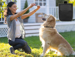 Bolsa de golosinas para perros entrenador