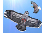 Cometa bird eagle 2m disuasor de aves con línea