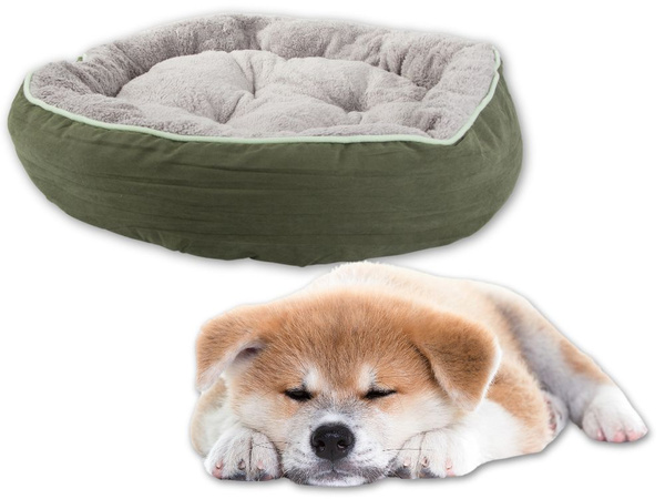 Lit pour chien chat lit moelleux canapé coussin m large