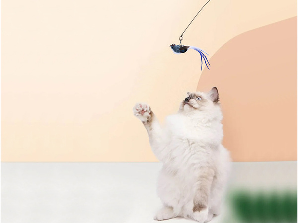 Interaktyvus žaislas katėms su siurbtuku, judantis paukštelis