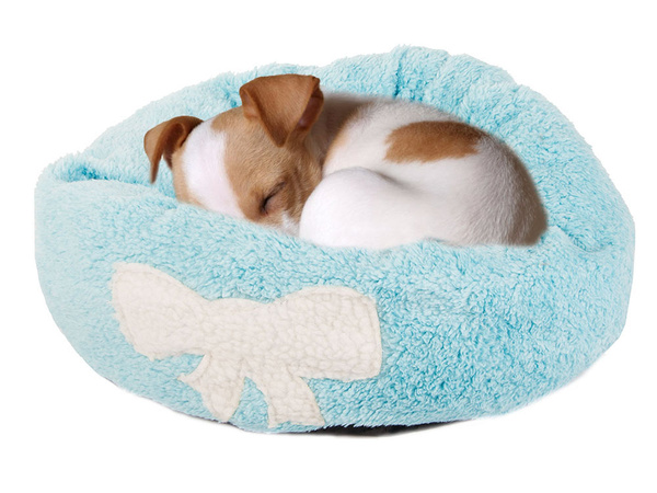 Fluffy dog bed cat bedding soft cushion couch bedding 35cm