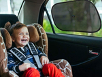 Automobilio priekinio stiklo dangtis nuo šalčio didelis