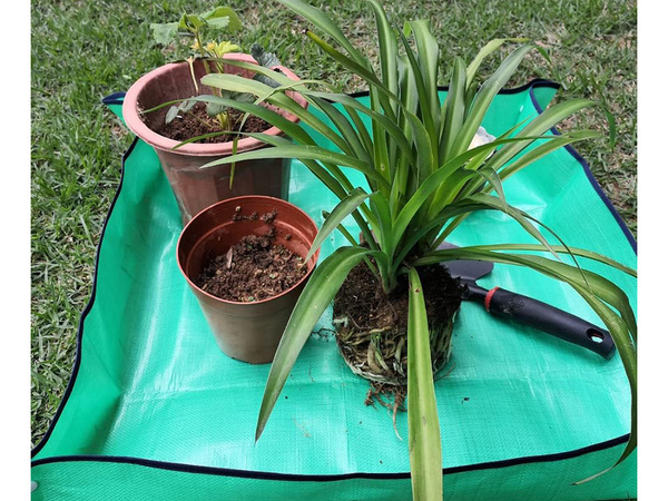 Nagy átültető szőnyeg virágpalánták ültetéséhez kerti alanyok ültetésére