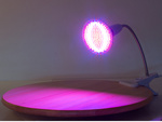 Panneau 200 lampe led pour culture de plantes 20w croissance