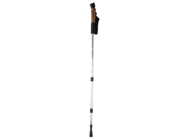 Nordic walking pole trekking pole