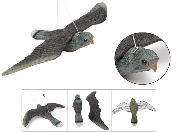 Dissuasion d'oiseaux étourneaux pigeons rongeurs faucon