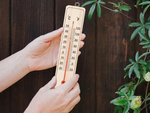 Termometru interior exterior din lemn domestic