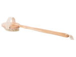 Wet dry body massage brush for the back