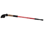 Nordic walking pole trekking pole