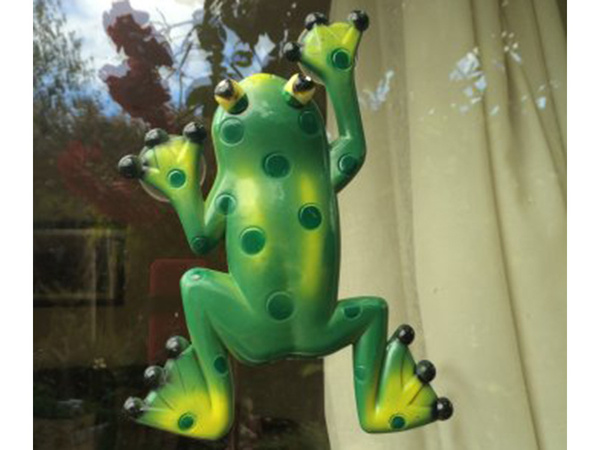 External suction cup thermometer frog