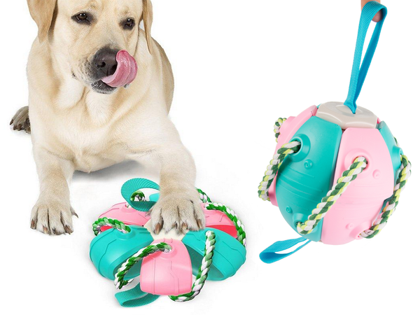 Jouet pour chien frisbee balle disque volant jouet à mâcher