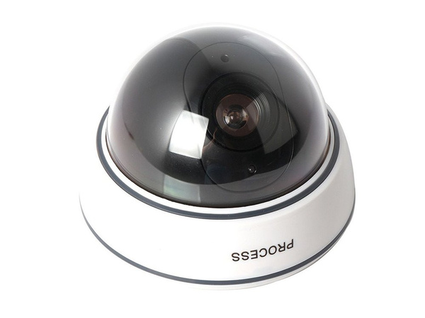 Caméra factice dôme led ir grand