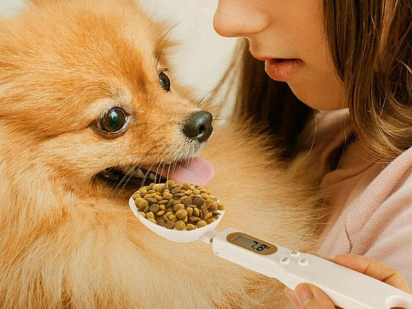 Pesas electronicas de cocina lcd digital primaria a manual 500g