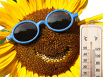 Häusliches holz-innen-aussenthermometer