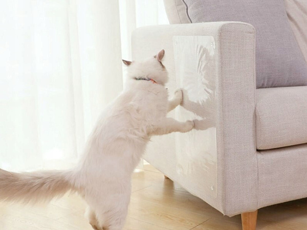 Pañuelo protector grande para gatos 2pcs