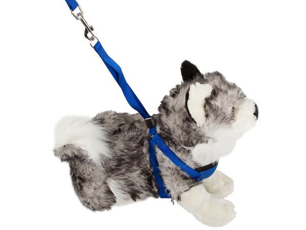 Leash with braces harness lightweight for dog cat strong