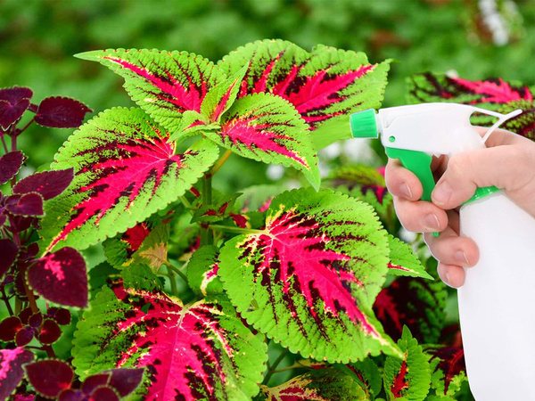 Ručný rozprašovač záhradných kvetov 1000 ml