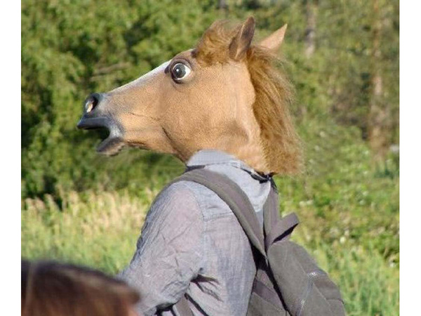 Masque tête de cheval cheval pour fête déguisement tête de cheval latex