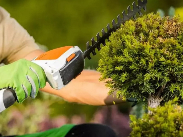 Akutrimmer murutrimmer põõsakäärid hekktrimmer 2in1