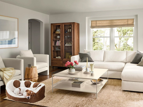 Lit pour chien pelucheux lit pour chat coussin doux lit pour canapé 60cm