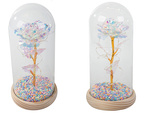 Everlasting rose in glass led luminous glass box women's day gift