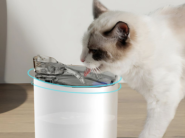 Bebedero gato perro cuenco automatico + filtro 2l sensor de movimiento